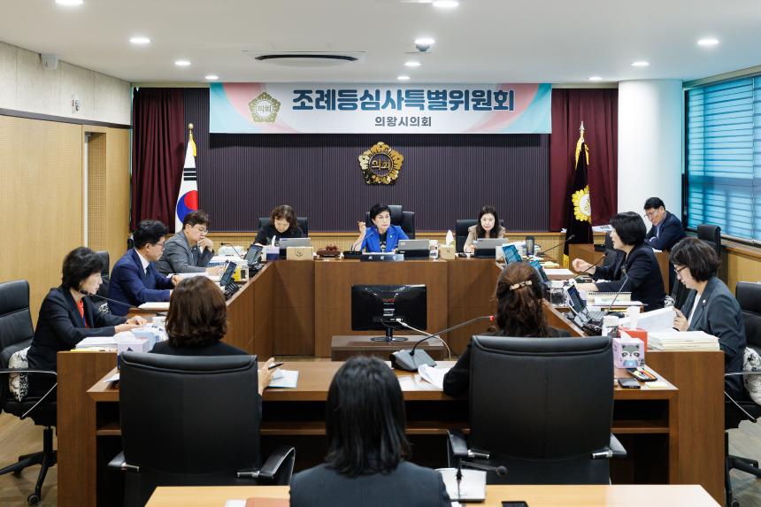조례등심사특별위원회 제2차 회의